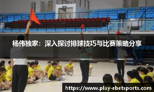 杨伟独家：深入探讨排球技巧与比赛策略分享